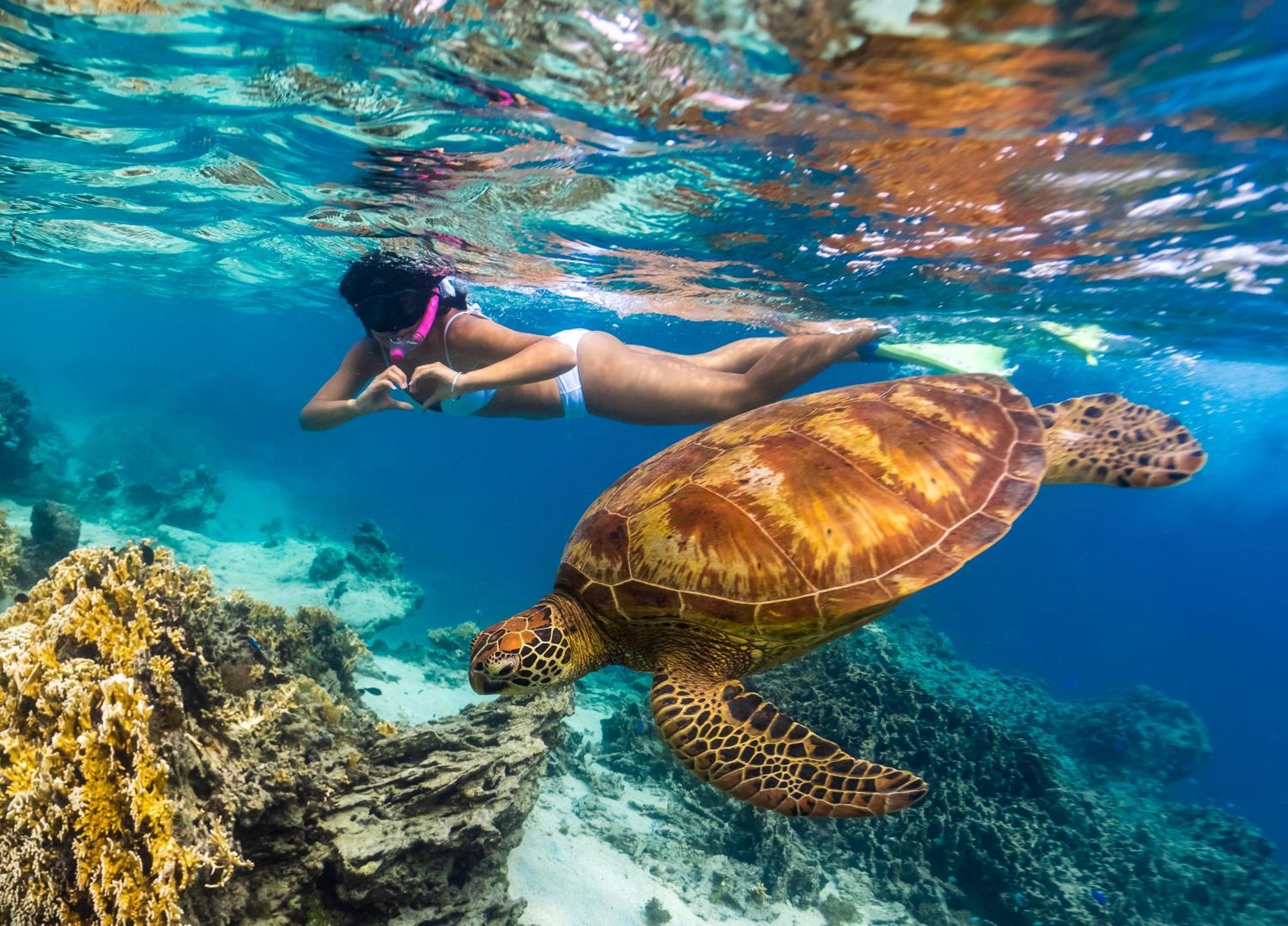 The Rarotongan Beach Resort & Lagoonarium 외부 사진