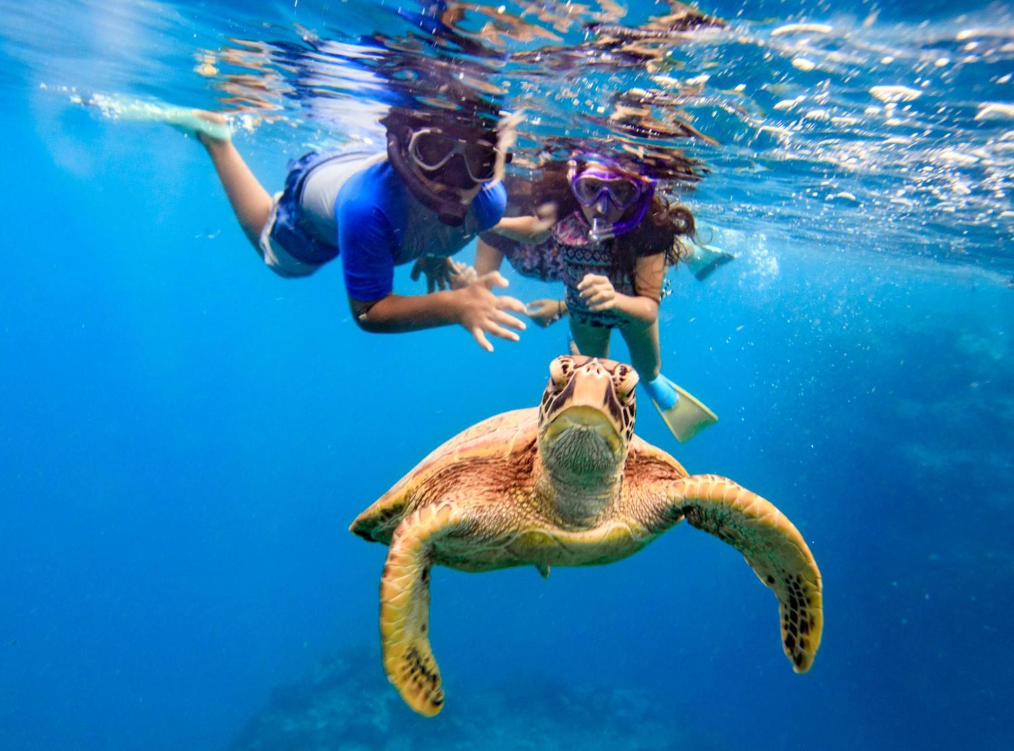 The Rarotongan Beach Resort & Lagoonarium 외부 사진